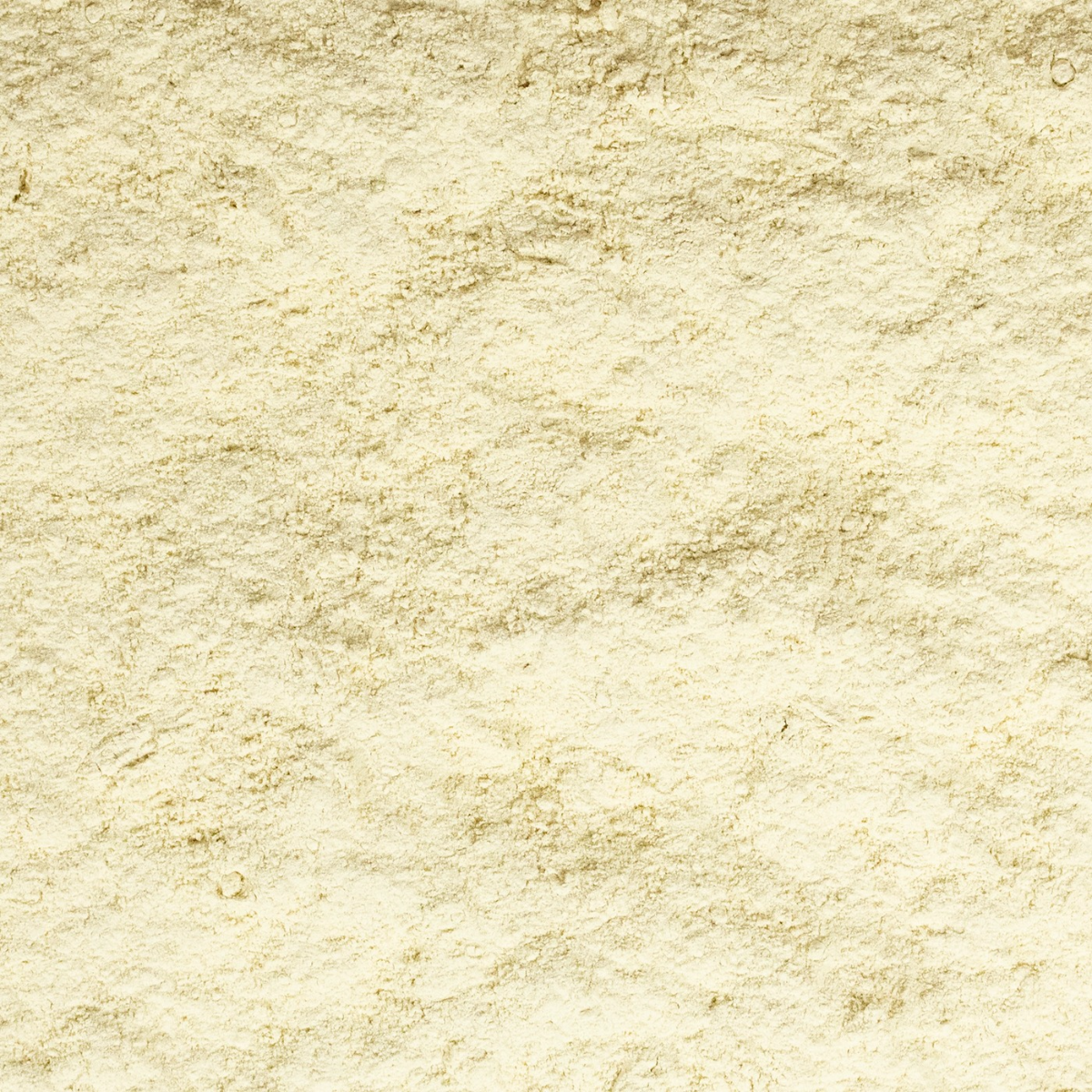 Garlic Eclipse – 1 kg Garlic Powder